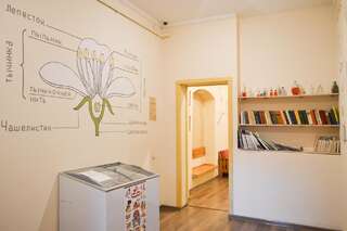 Хостелы Vishnya Hostel Днепр-3